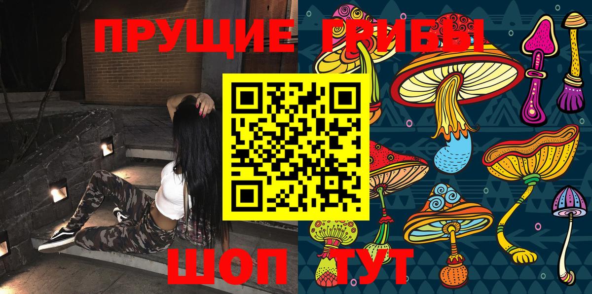 Россия  Псилоцибиновые грибы GOLDEN TEACHER  Вход с VPN  Псилоцибиновые грибы мицелий 