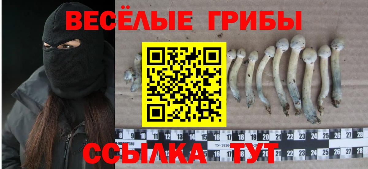 Псилоцибиновые грибы ЛСД Россия